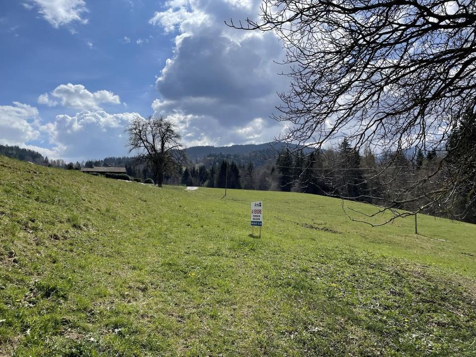 Villa i Combloux, Haute-Savoie - foto 3