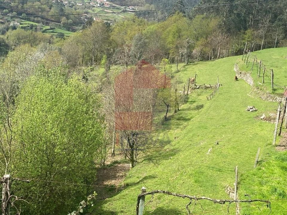 Helårsgrund i Vila Verde, Braga - foto 4