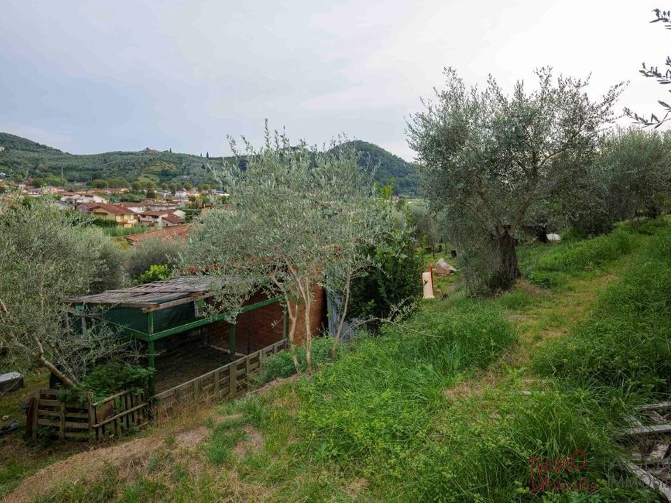 Apartament a Massarosa, Lucca - foto 3
