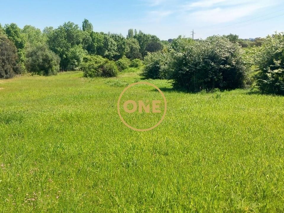 Helårsgrund i Torres Novas, Santarem - foto 1