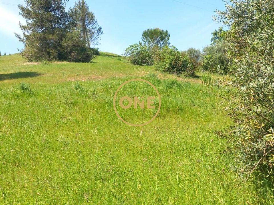 Helårsgrund i Torres Novas, Santarem - foto 3