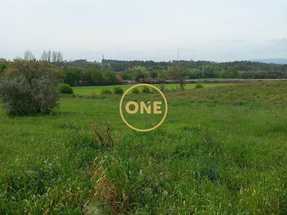 Helårsgrund i Tomar, Santarem - foto 5