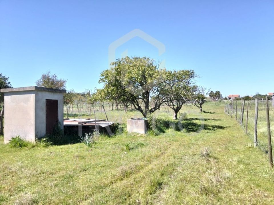 Villa i Salvaterra de Magos, Santarem - foto 5