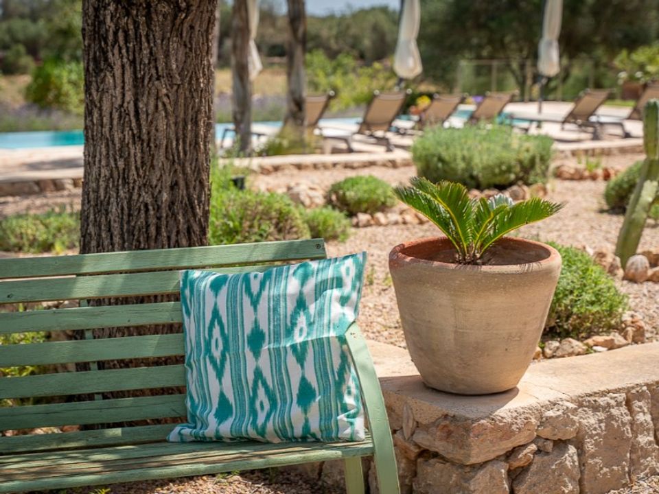 Landejendom i Ses Salines, Mallorca - foto 2
