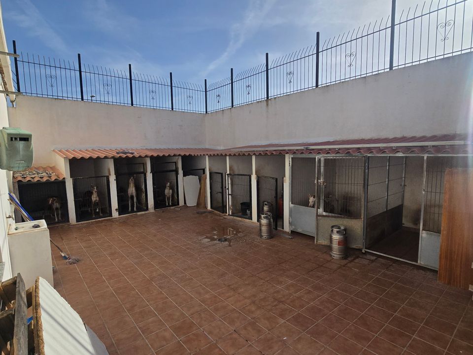 Byhus i Sax, Alicante - foto 3
