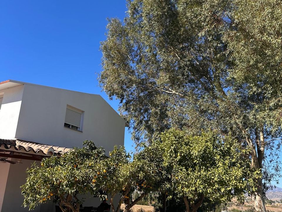 Finca i Cartama, Malaga - foto 4