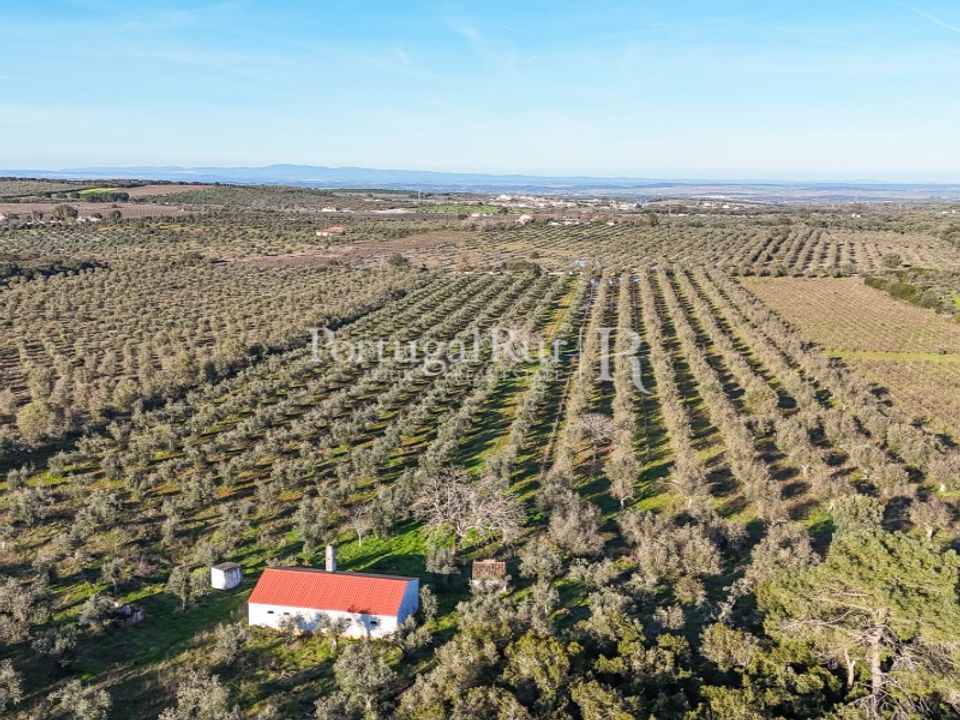 Farm i Estremoz, Evora - foto 1