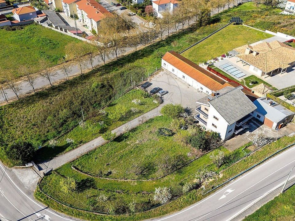 Farm Chavesssa, Vila Real - kuva 3