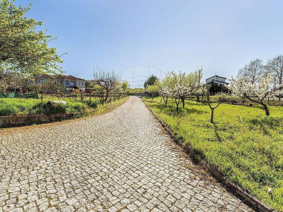 Farm Chavesssa, Vila Real - kuva 4