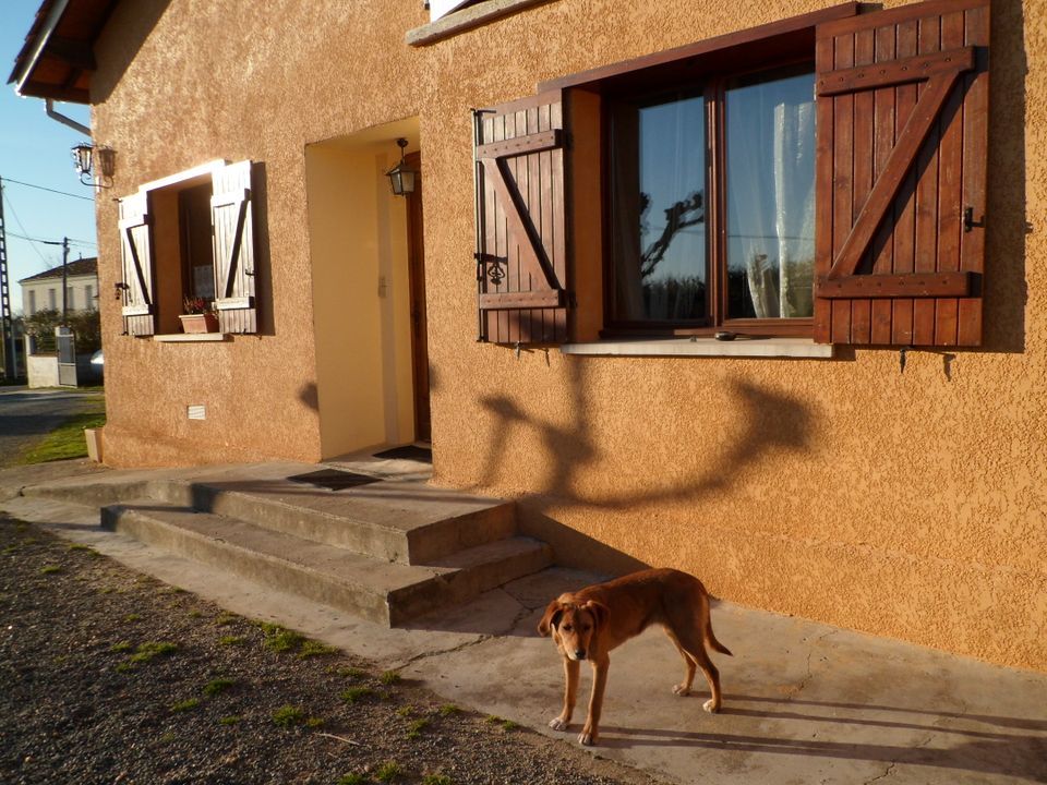 Studio i Saint-Ciers-d'Abzac, Gironde - foto 5