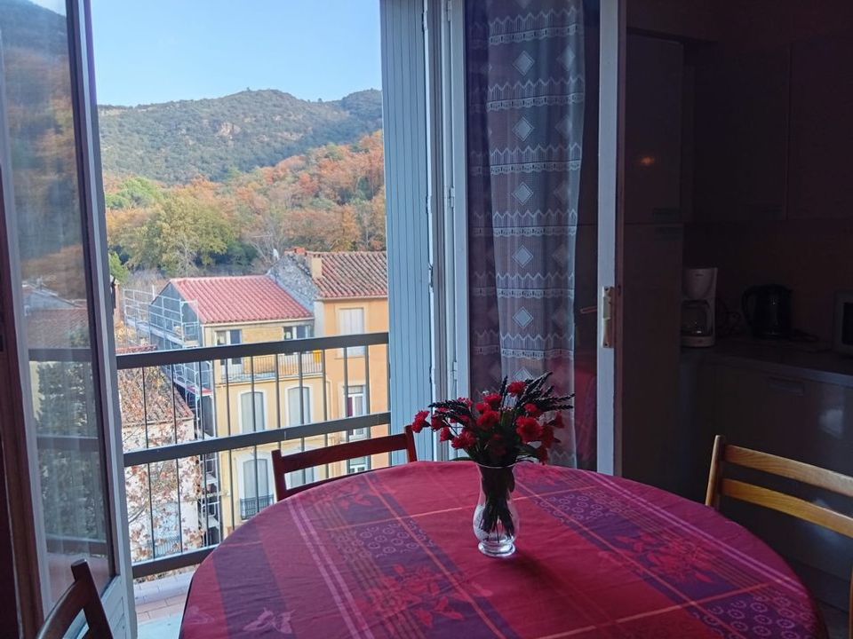 Studio in Amelie-les-Bains-Palalda, Pyrenees-Orientales - photo 4