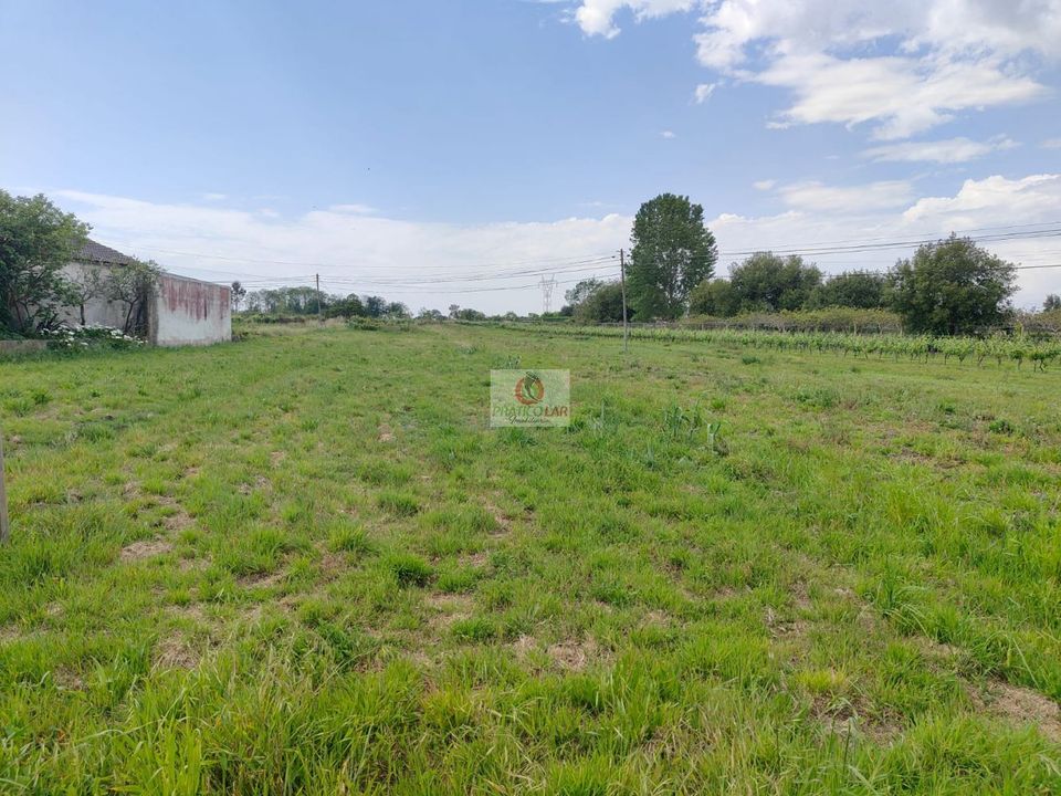 Villa i Oliveira do Bairro, Aveiro - foto 3
