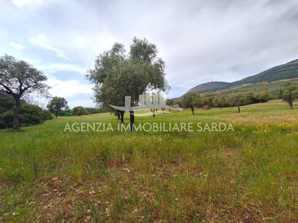 Land in Alghero, Sassari - photo 1
