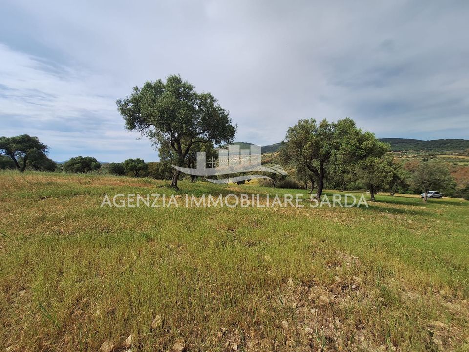 Land in Alghero, Sassari - photo 2