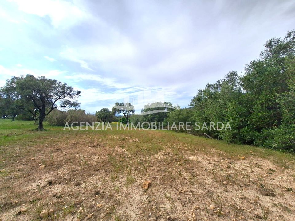 Land in Alghero, Sassari - photo 3