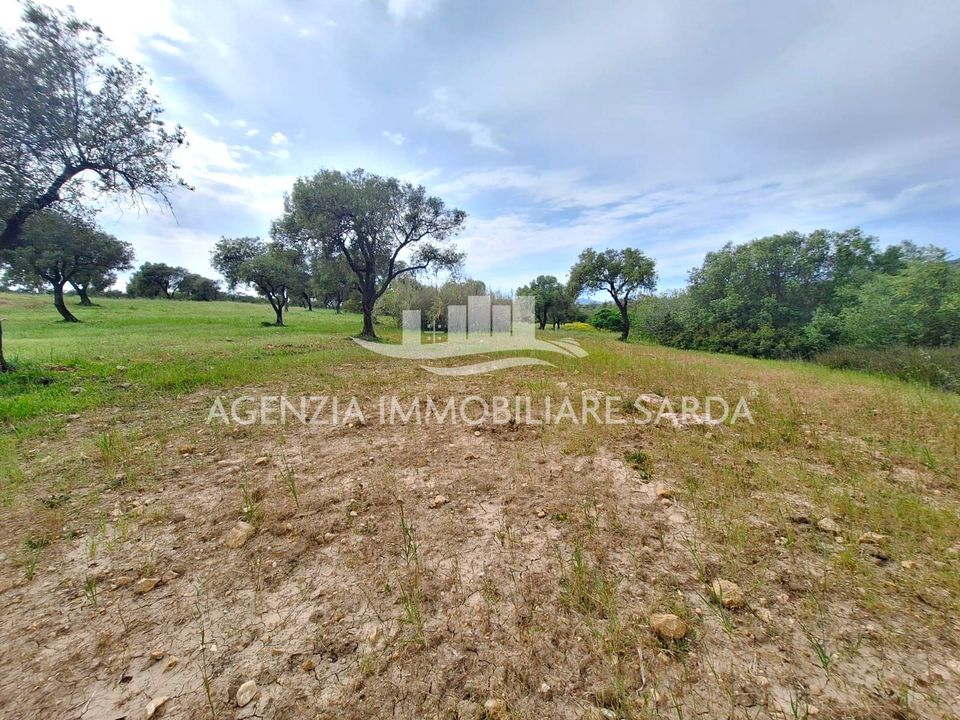 Land in Alghero, Sassari - photo 4