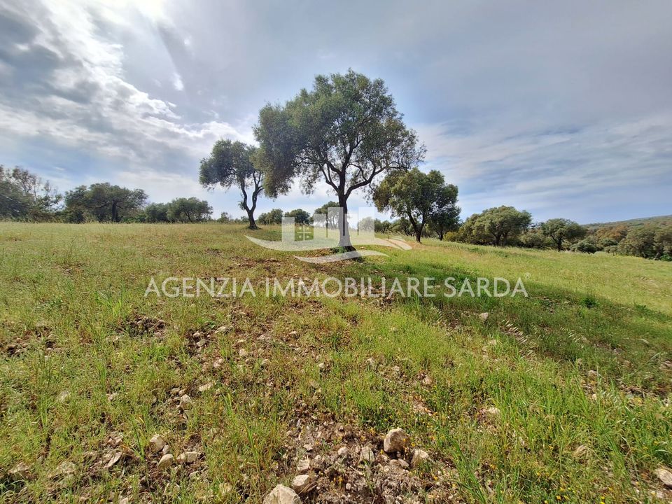 Land in Alghero, Sassari - photo 5