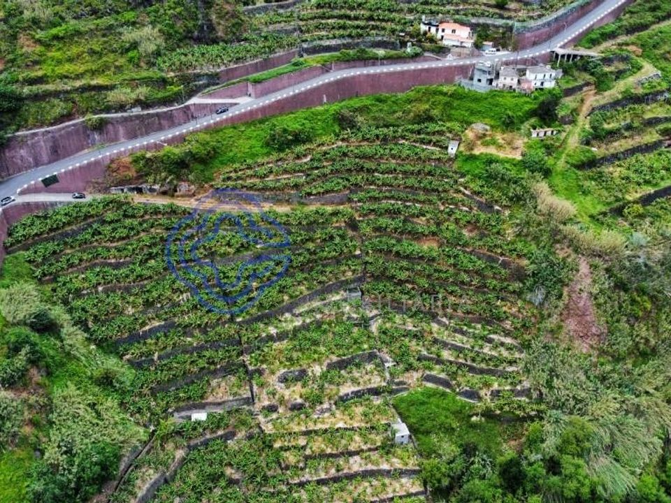 Helårsgrund i Ponta do Sol, Madeira - foto 1