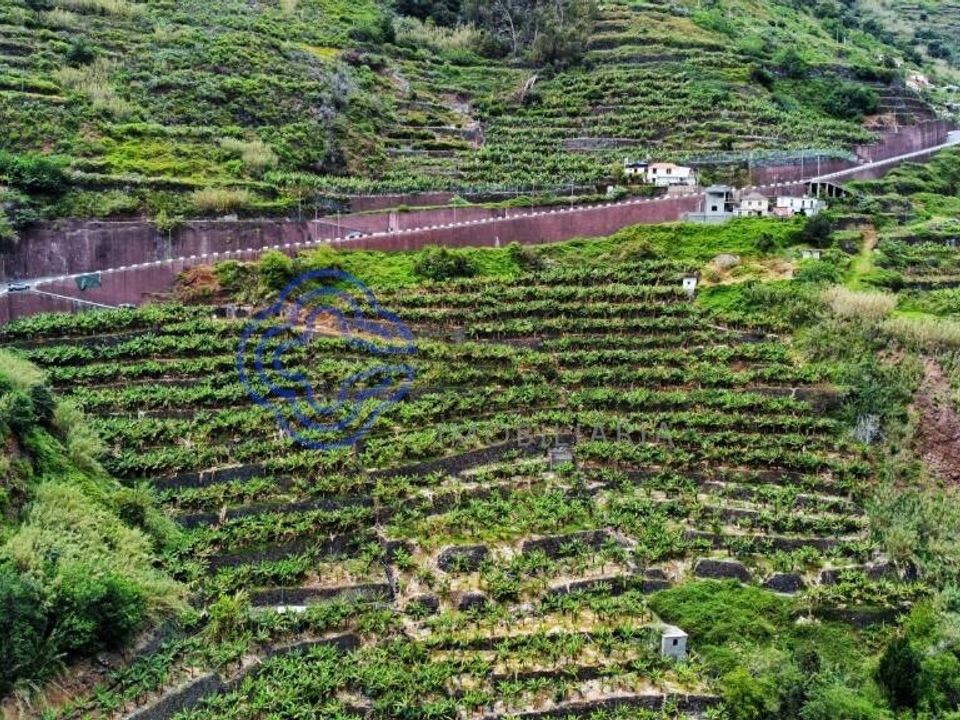 Helårsgrund i Ponta do Sol, Madeira - foto 3