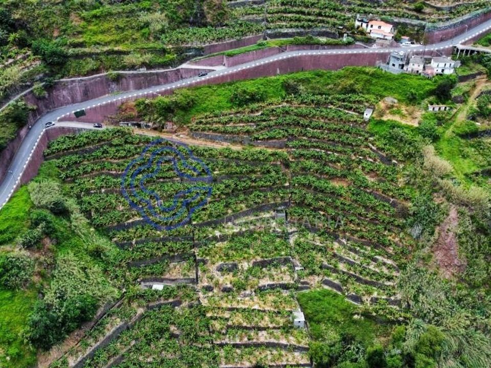 Helårsgrund i Ponta do Sol, Madeira - foto 4