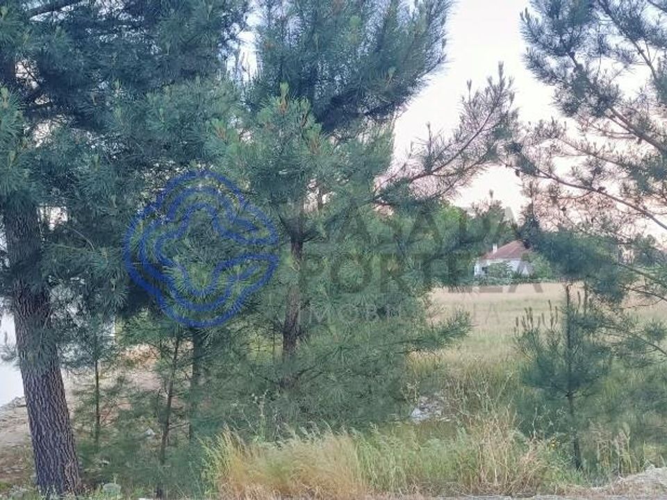 Helårsgrund i Palmela, Setubal - foto 2