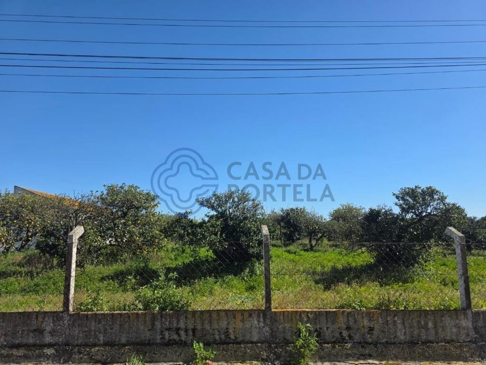 Helårsgrund i Montijo, Setubal - foto 4