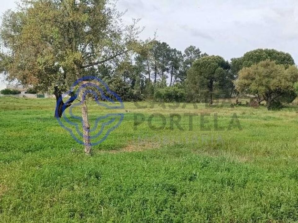 Helårsgrund i Palmela, Setubal - foto 2