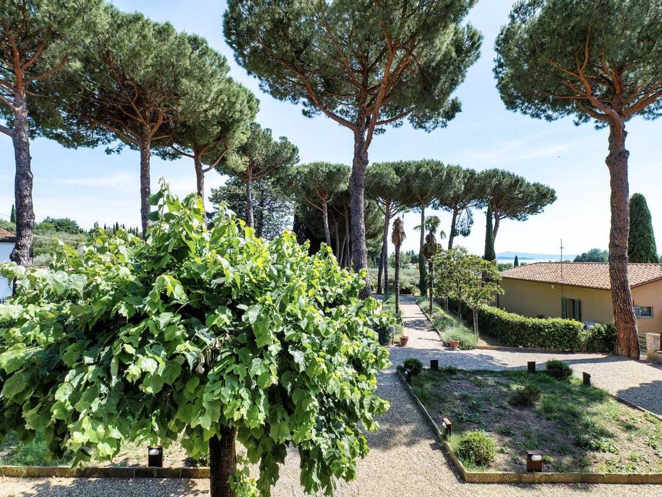 Villa i Passignano Sul Trasimeno, Perugia - foto 2
