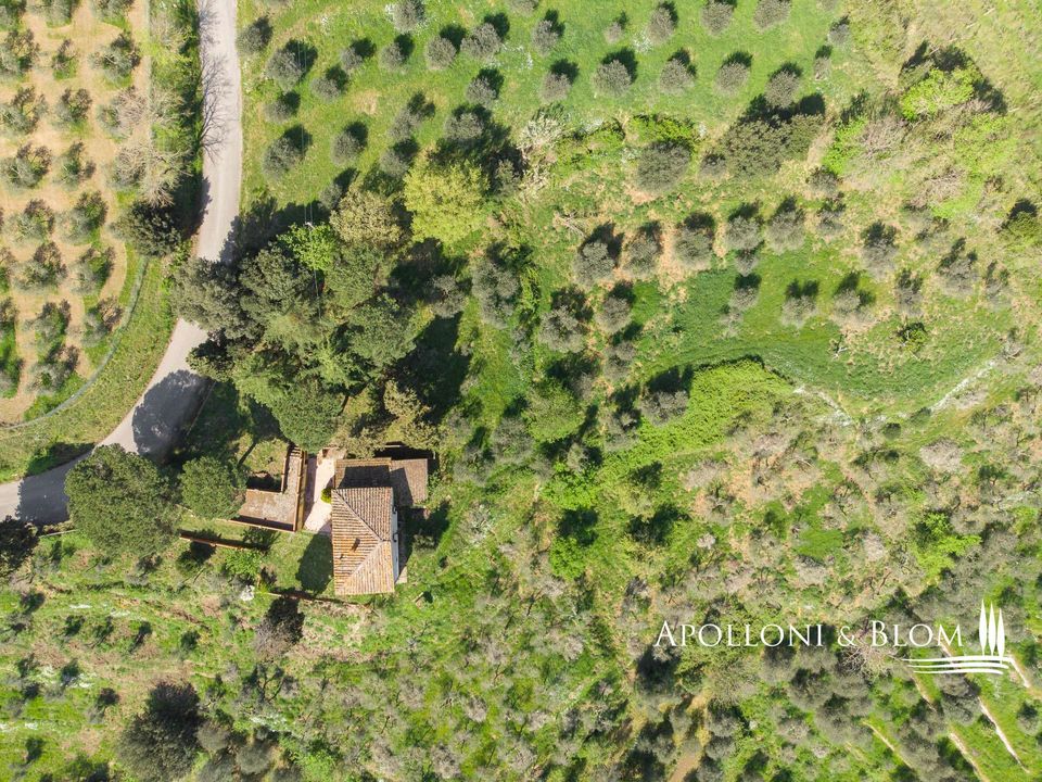 Farm hus i Sinalunga, Siena - foto 5