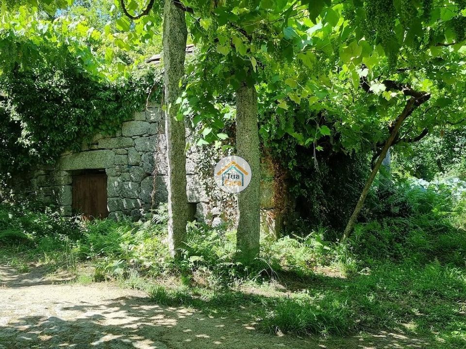 Farm i Arouca, Aveiro - foto 1