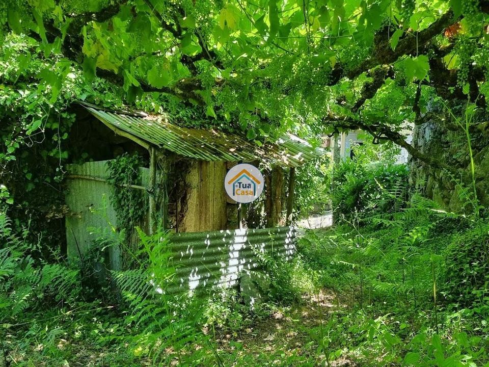 Farm i Arouca, Aveiro - foto 4