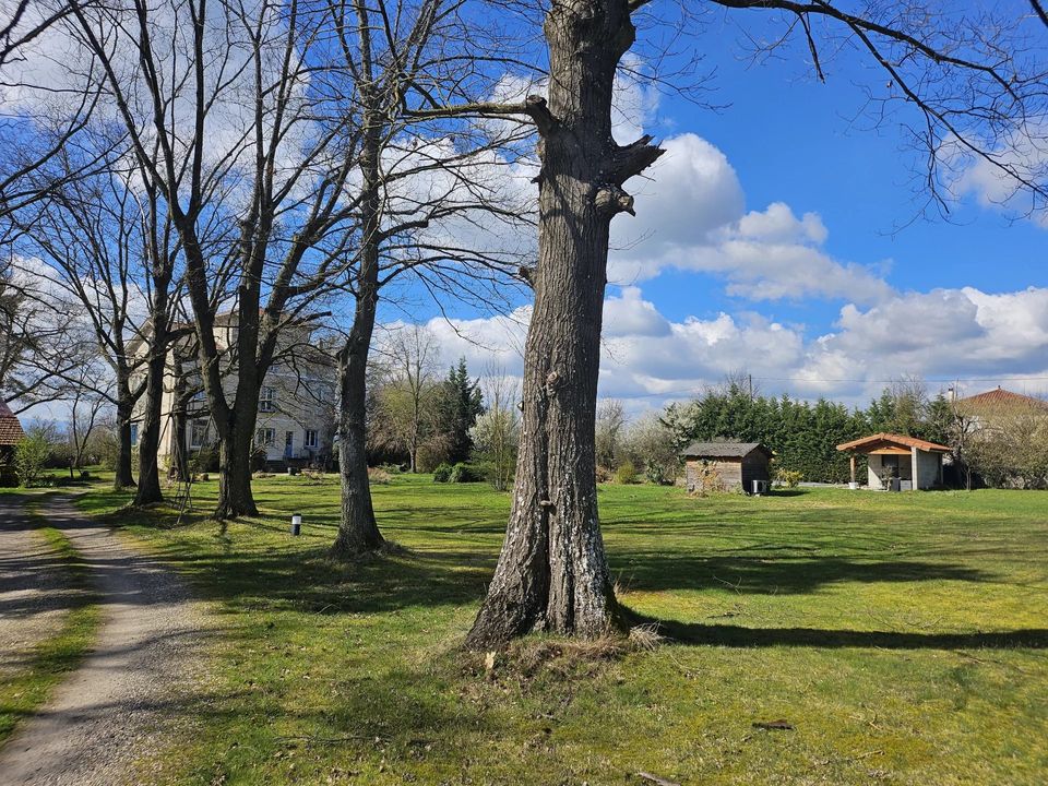 Villa i Montrond-les-Bains, Loire - foto 4