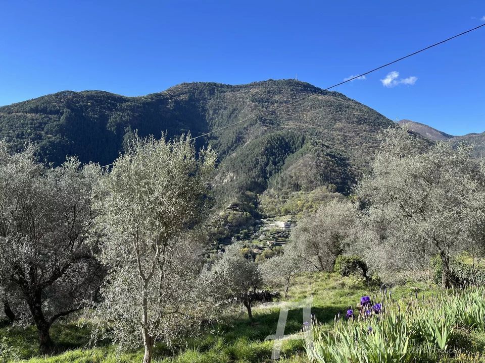 Lejlighed i Breil-sur-Roya, Alpes-Maritimes - foto 1