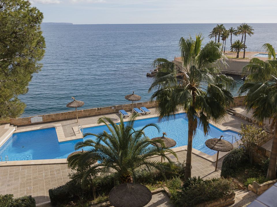 Lejlighed i Calvia, Mallorca - foto 1
