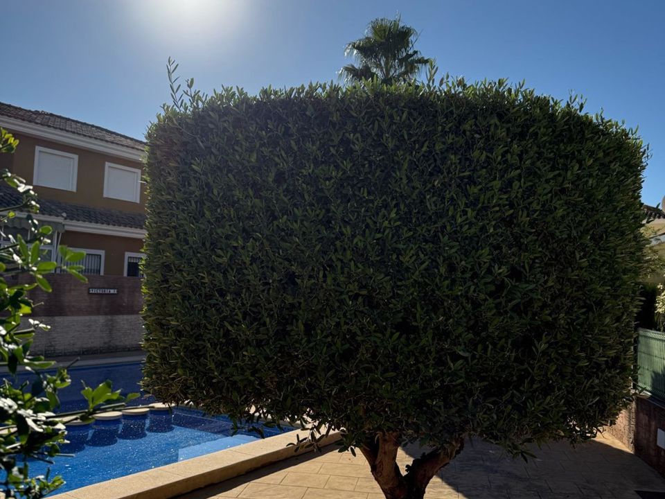 Villa i El Verger, Alicante - foto 3