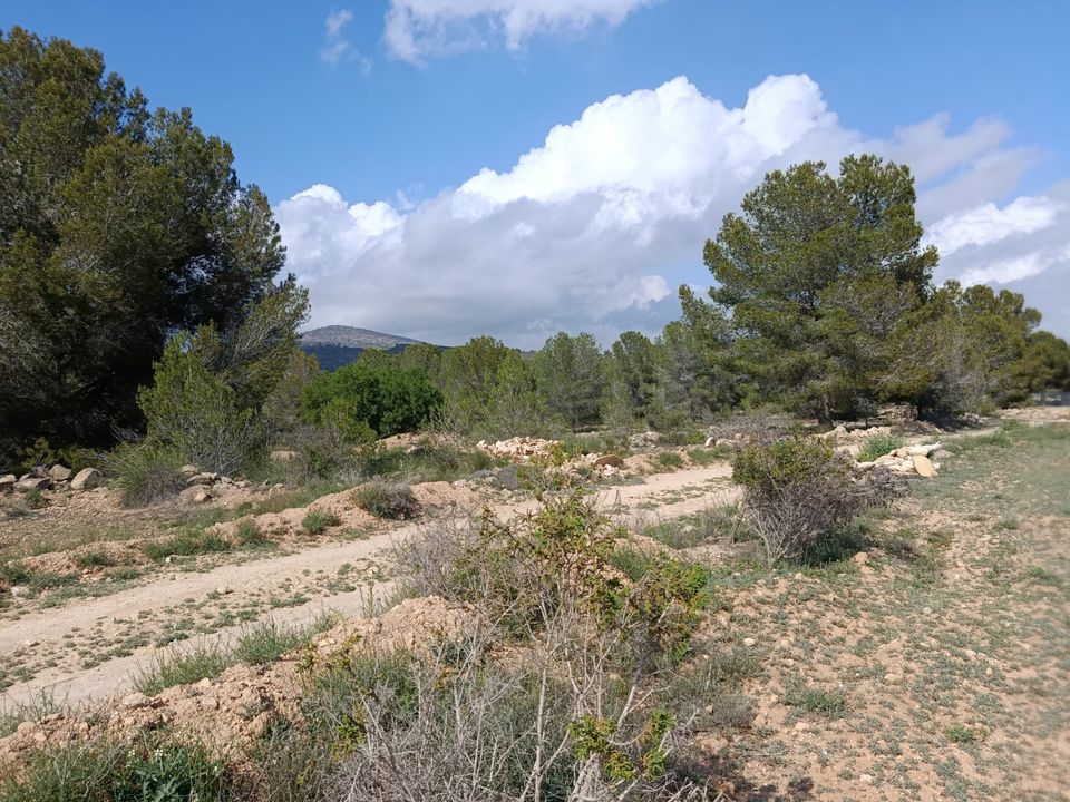 Helårsgrund i Monovar, Alicante - foto 2