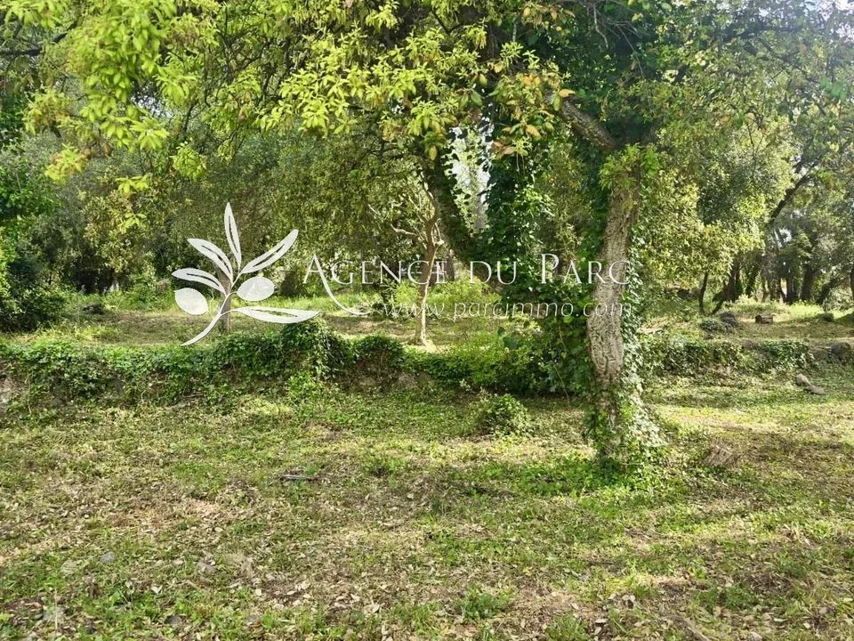 Helårsgrund i Biot, Alpes-Maritimes - foto 5