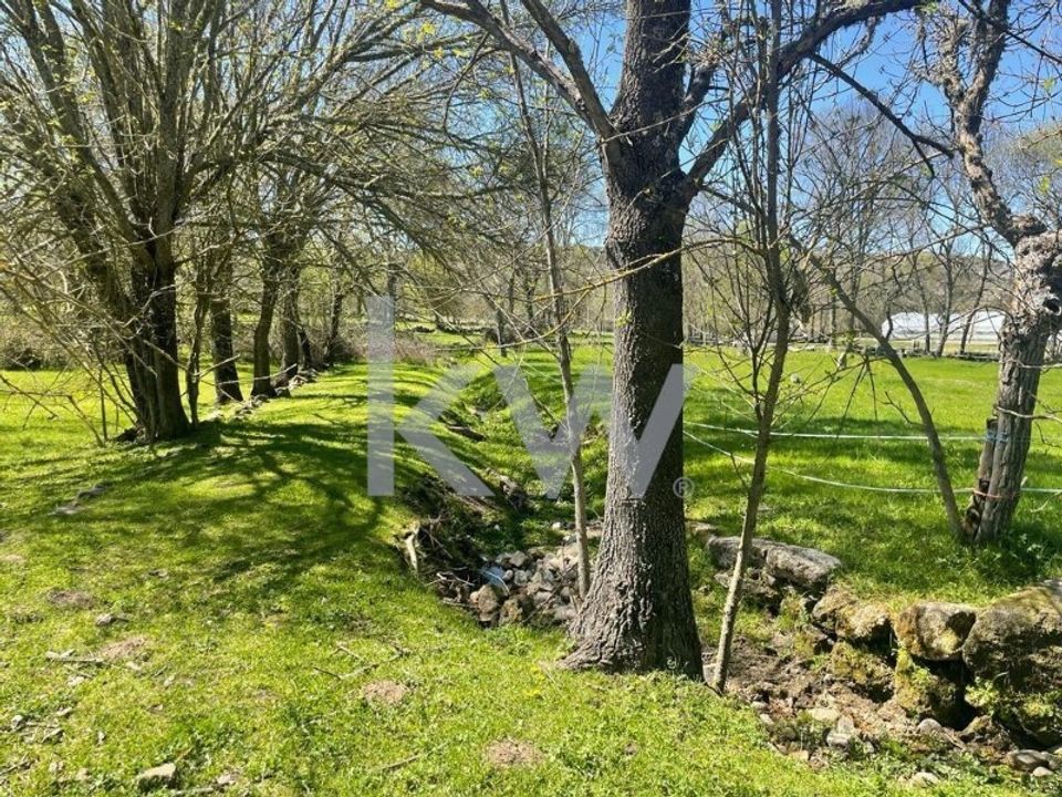 Farm i Amoreira, Parada e Cabreira, Guarda - foto 3