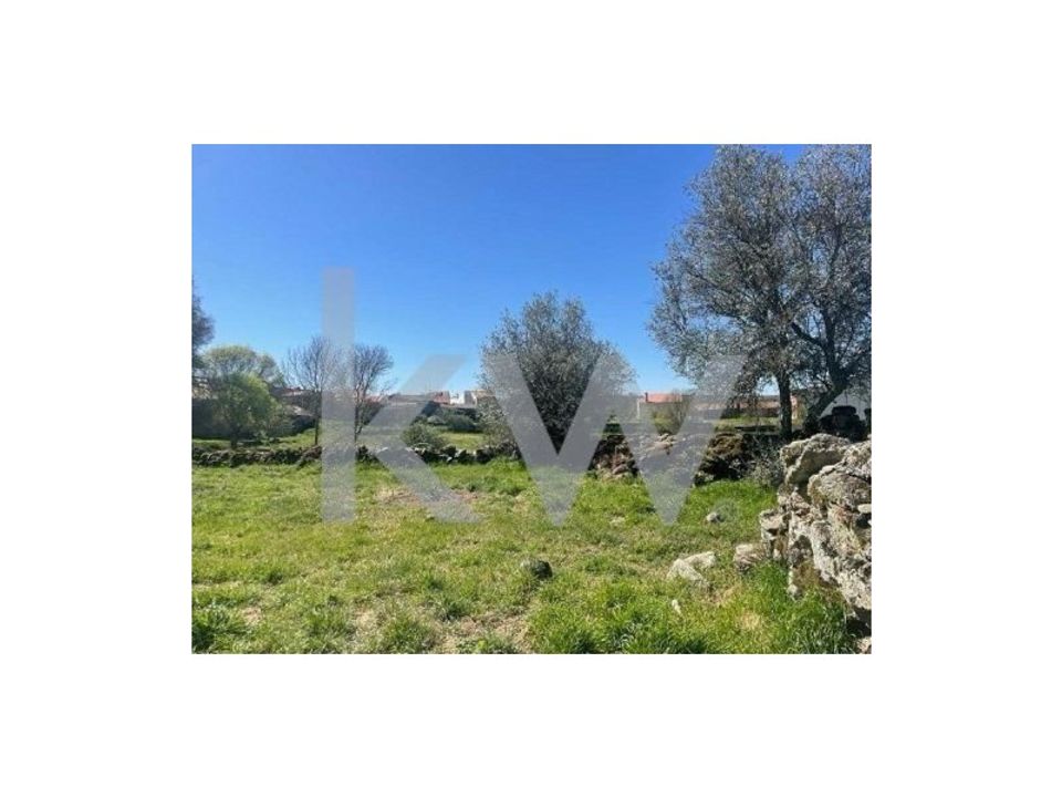 Farm i Amoreira, Parada e Cabreira, Guarda - foto 4
