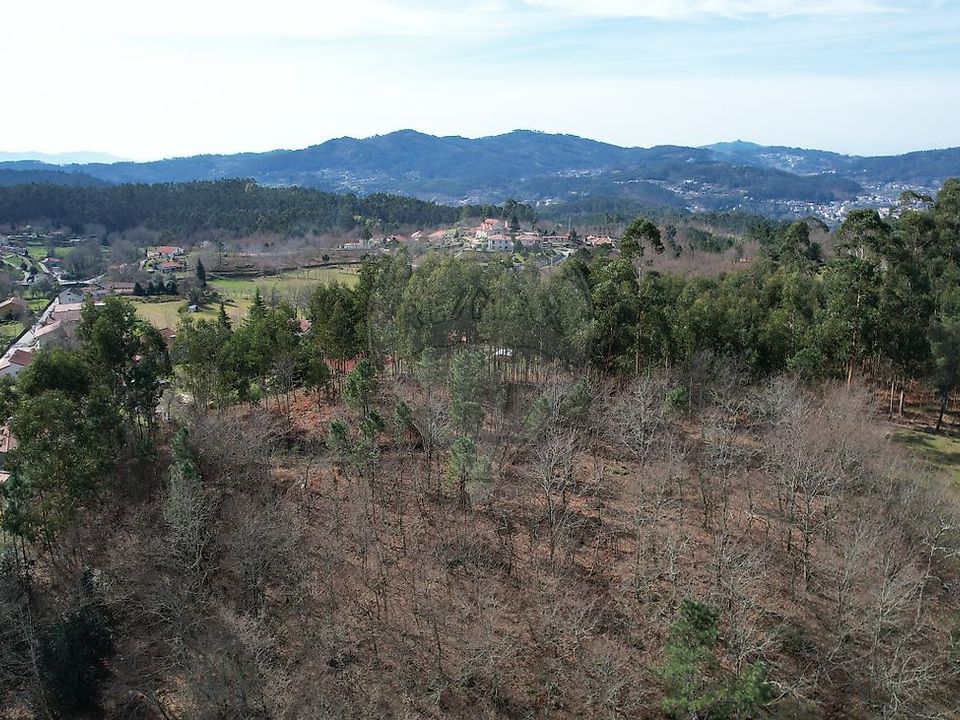 Helårsgrund i Vieira do Minho, Braga - foto 5