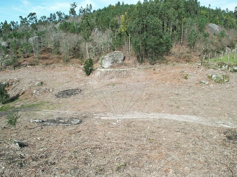 Helårsgrund i Vieira do Minho, Braga - foto 5