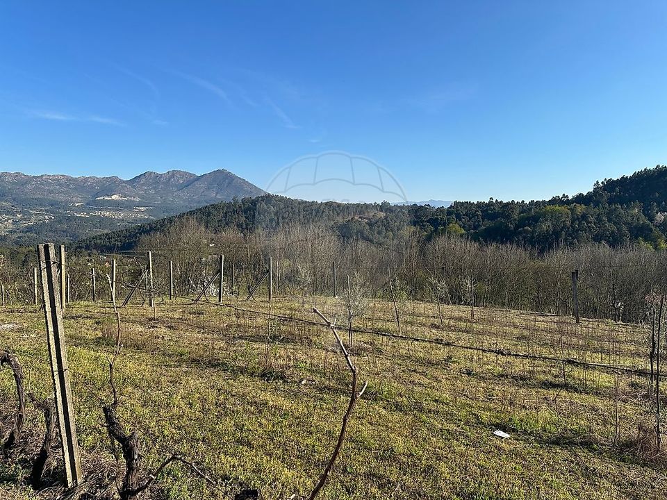 Helårsgrund i Cabeceiras de Basto, Braga - foto 4