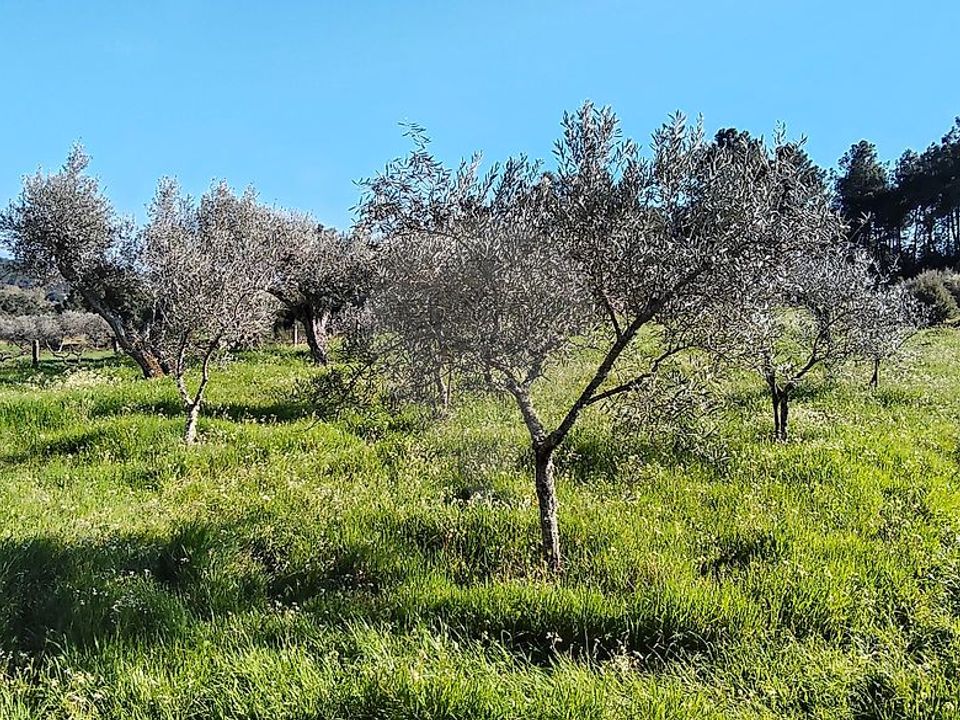 Helårsgrund i Valpacos, Vila Real - foto 1
