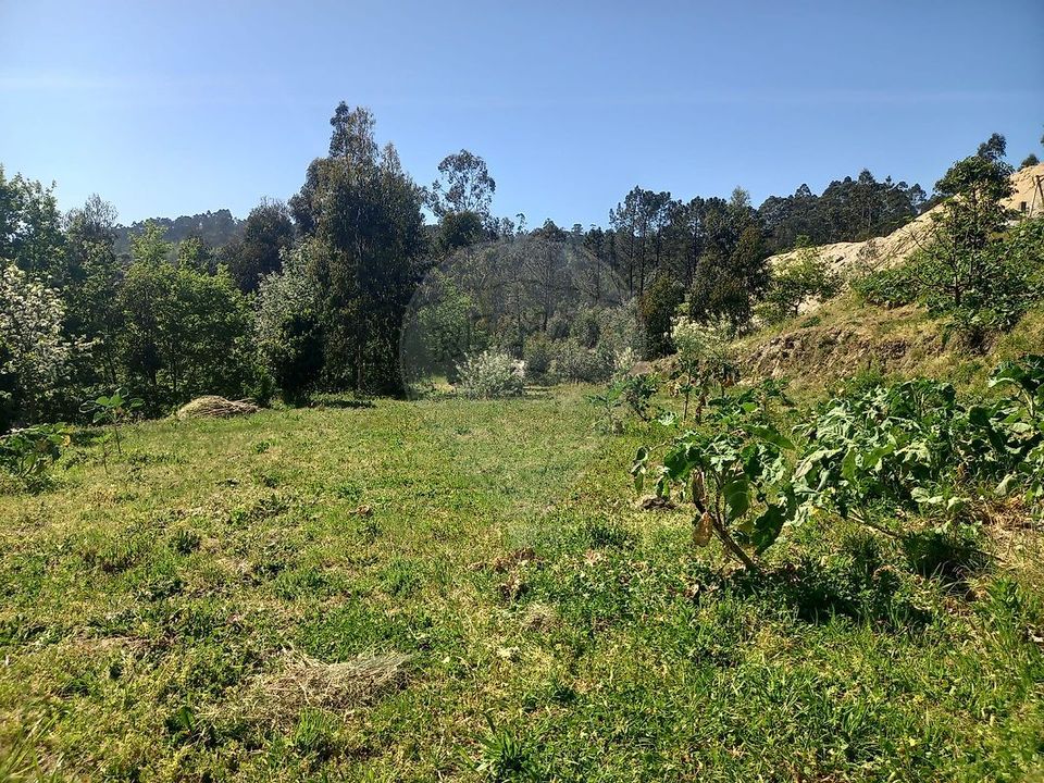 Terra a Fafe, Braga - foto 2