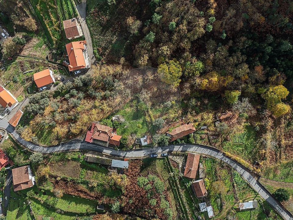 Villa i Celorico de Basto, Braga - foto 3
