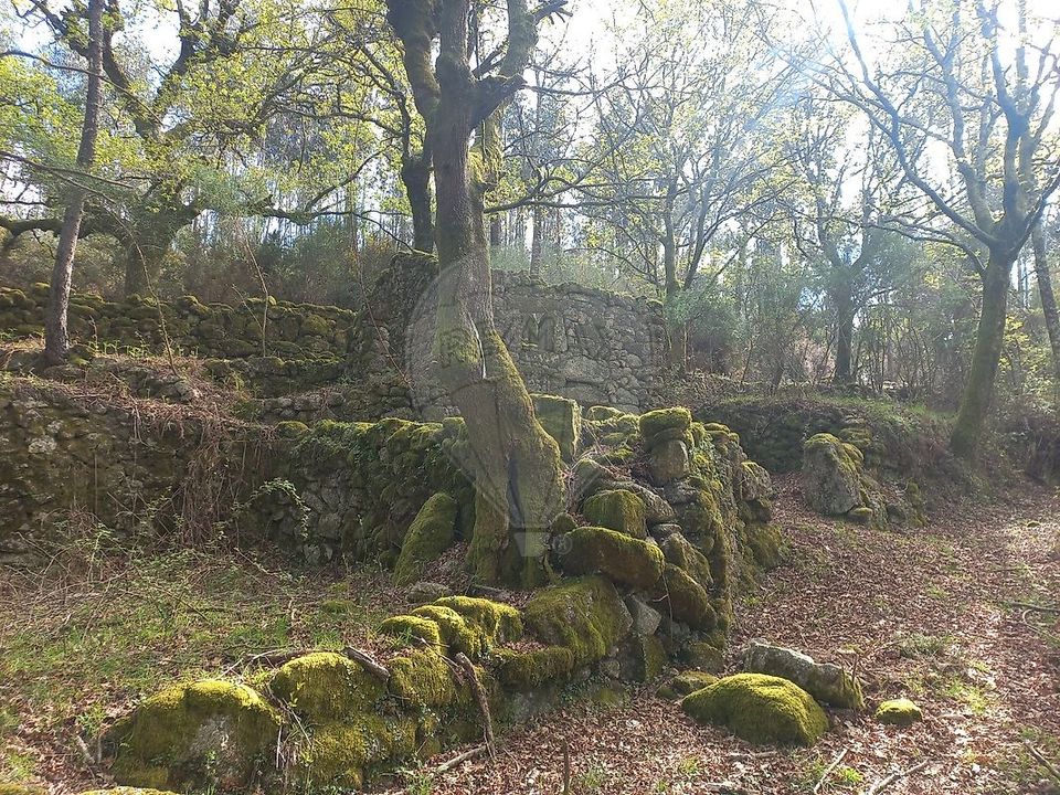 Helårsgrund i Terras de Bouro, Braga - foto 3