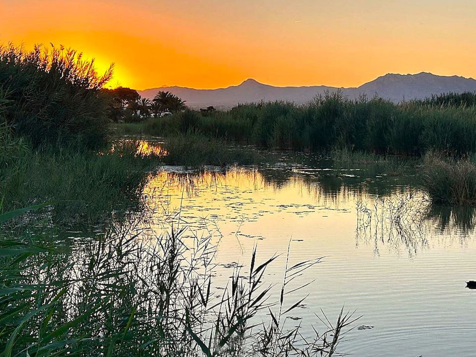 Finca i Dolores, Alicante - foto 3