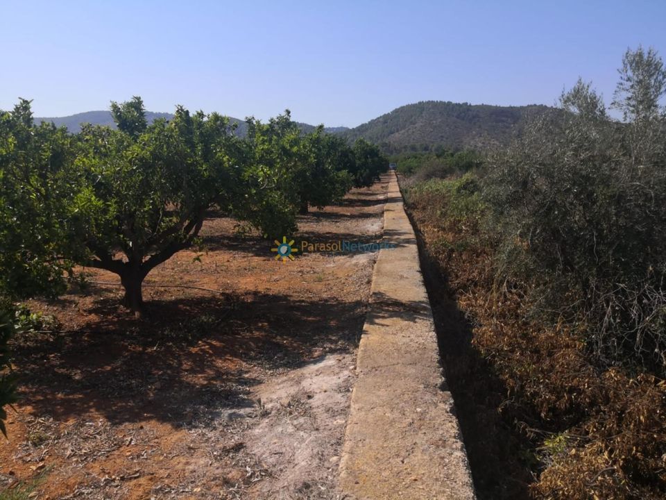 Helårsgrund i Oliva, Valencia - foto 3