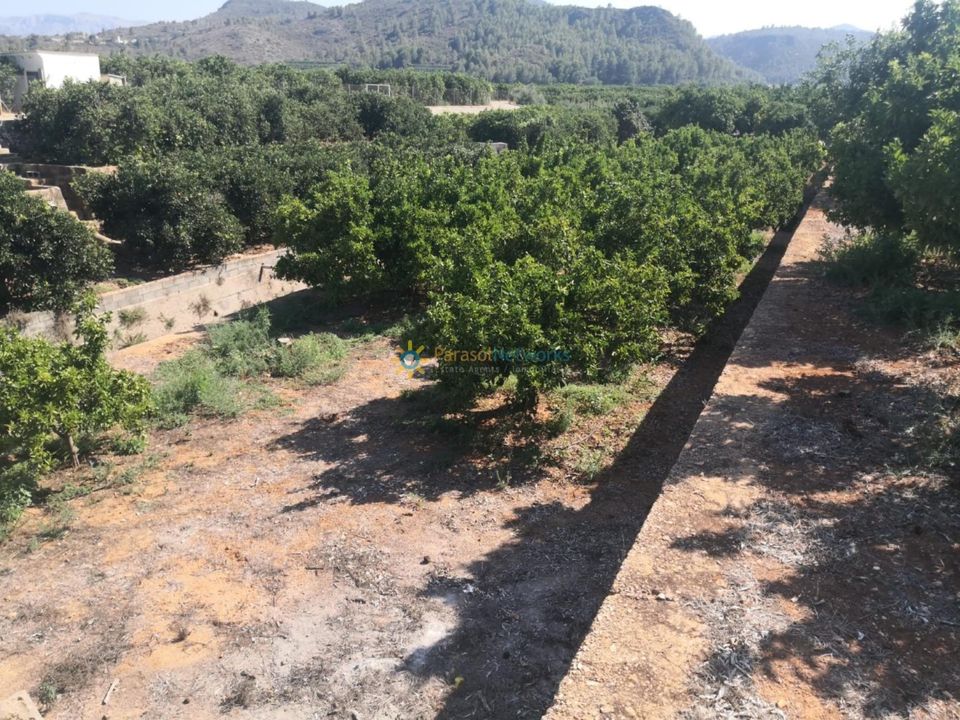 Helårsgrund i Oliva, Valencia - foto 1