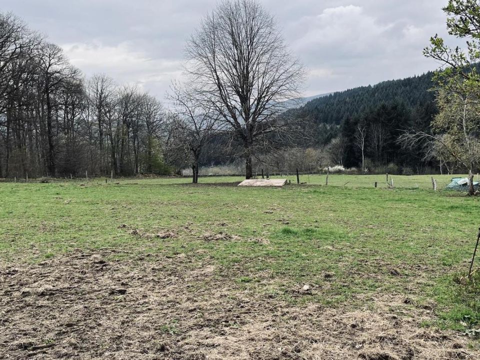 Landejendom i Autun, Saone-et-Loire - foto 5